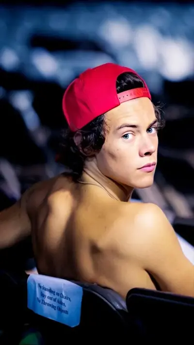 Harry Styles 