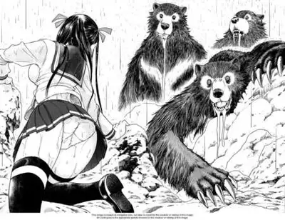 Girl vs bear: do you help?