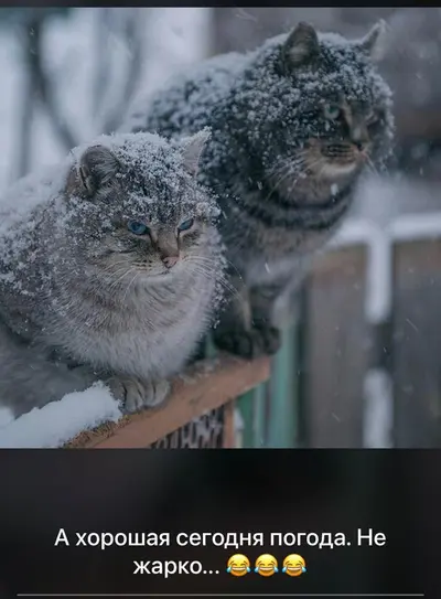 Вова