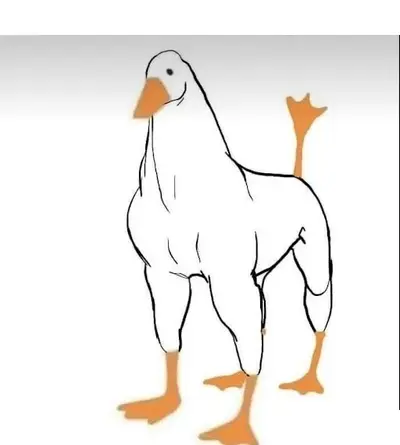 Duck 
