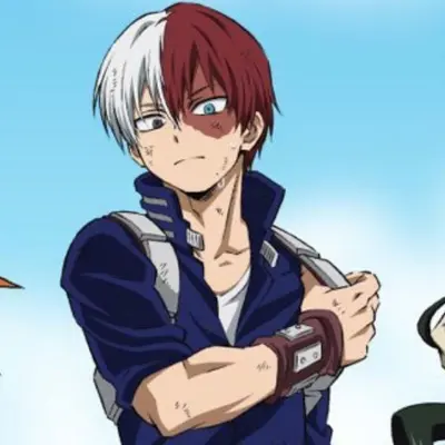 Shoto todoroki 