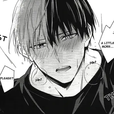 Shoto Todoroki 