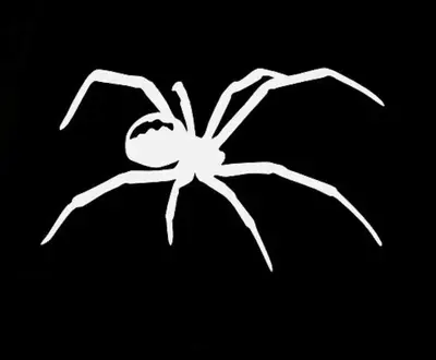 Blackwidows