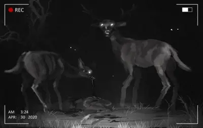Not-Deer
