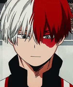 Shouto Todoroki