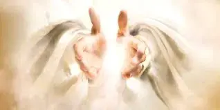 The Hands
