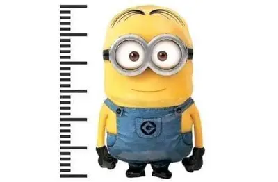 Minioni