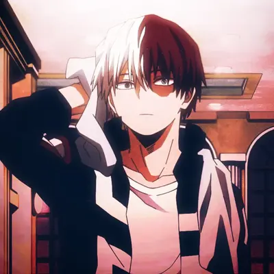 Shoto Todoroki
