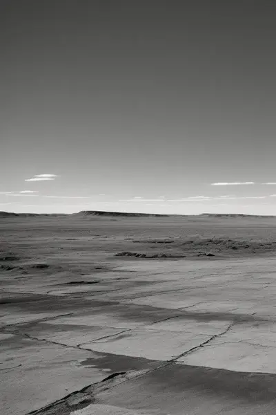 Wasteland