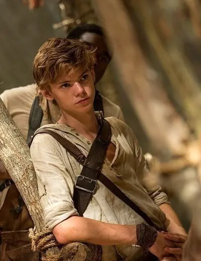 Newt 