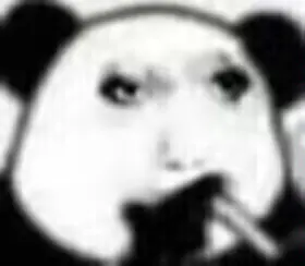 中国龙猫