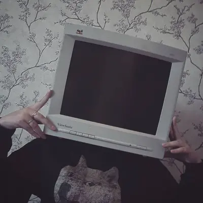 ː͡➘₊̣̇♡⃕⌜𝚁𝚎𝚟𝚎𝚛𝚒𝚎⌝✰*ૢ✧