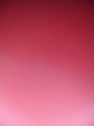 Avestruz 