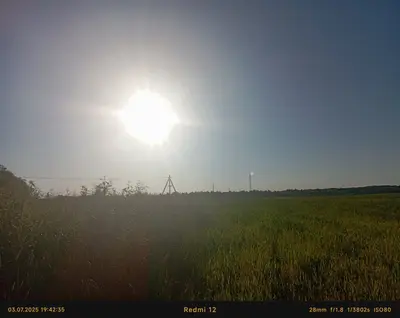 Алена