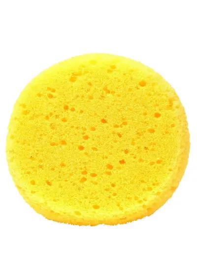 Sexy Sponge