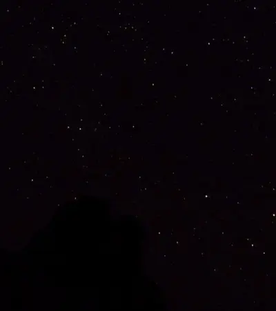 Alpha