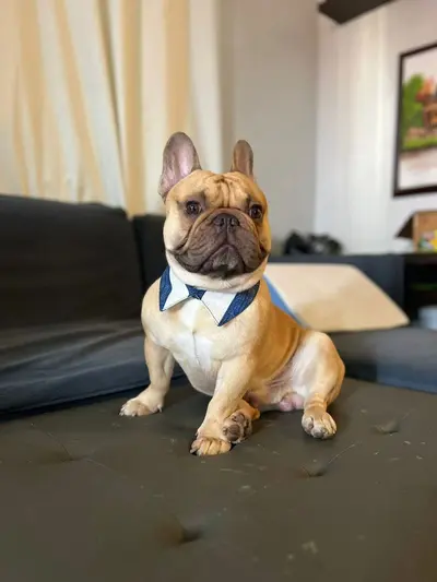 DOOOFFY