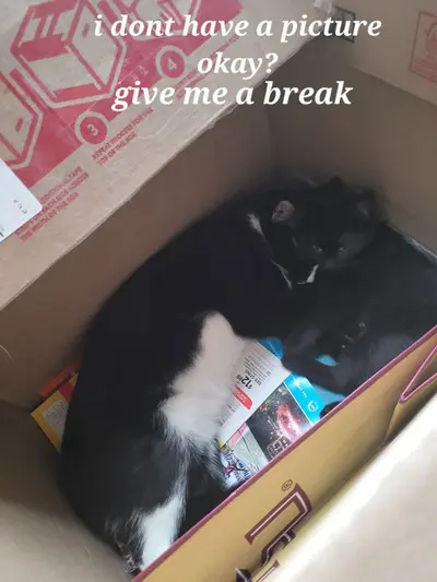 Wilbur