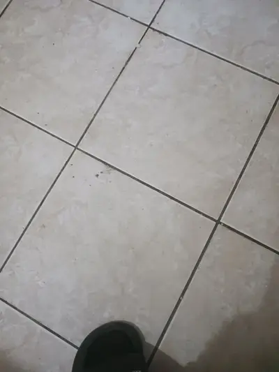 安安