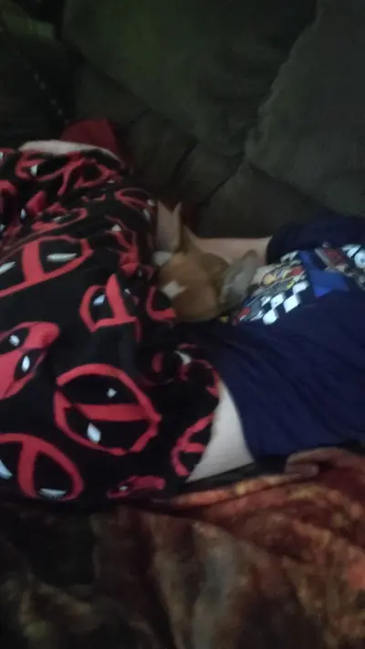 Ghostabcx