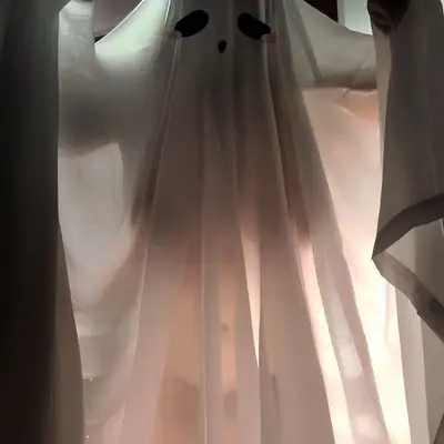 幽灵娜莎