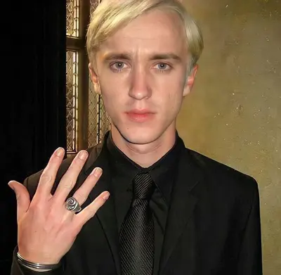Draco Lucius Malfoy 