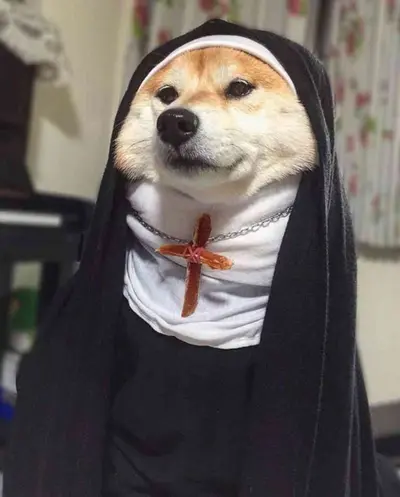 Doggie