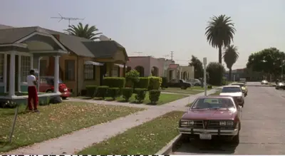 The hood