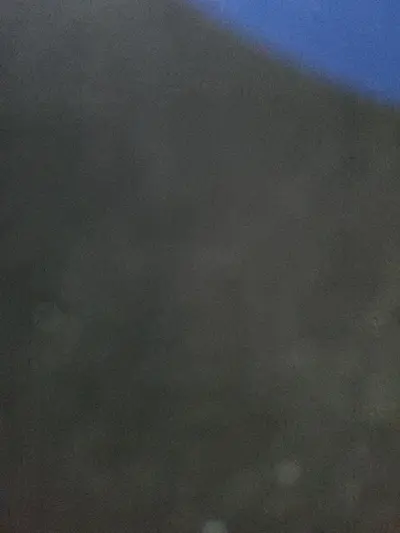 她