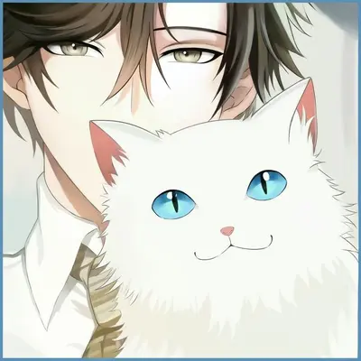 Jumin han