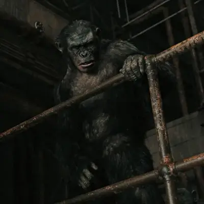 Koba