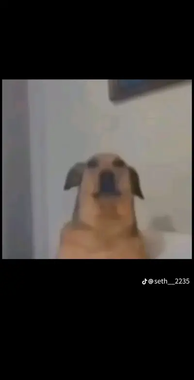 Best of the worst