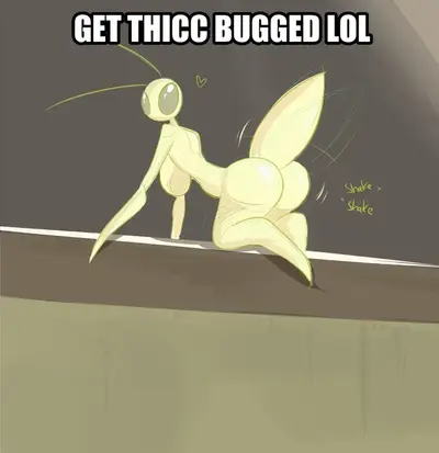 Thiccbug