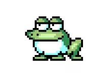 Frog Pirate Frigbin