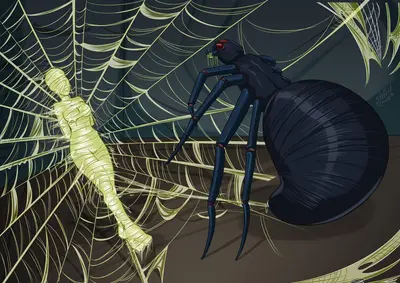 Giant spider 