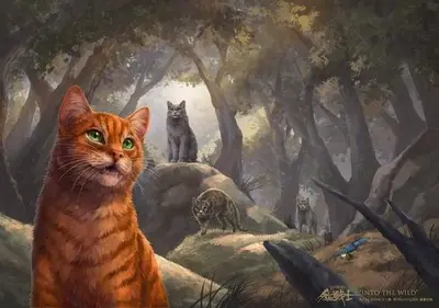 Warrior cat's simulator