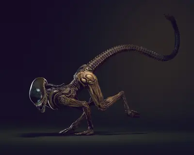 Wall Crawler Xenomorph