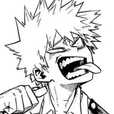 Katsuki Bakugou 