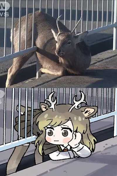 Animal Girl Breeding Fence