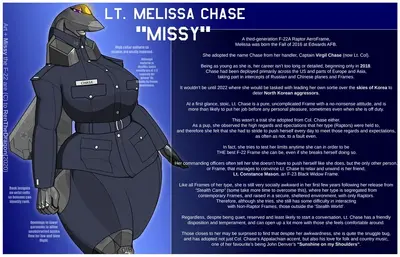 Melissa Chase 'Missy' [F-22 Raptor Aeromorph anthro jet]