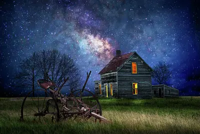 The Farm