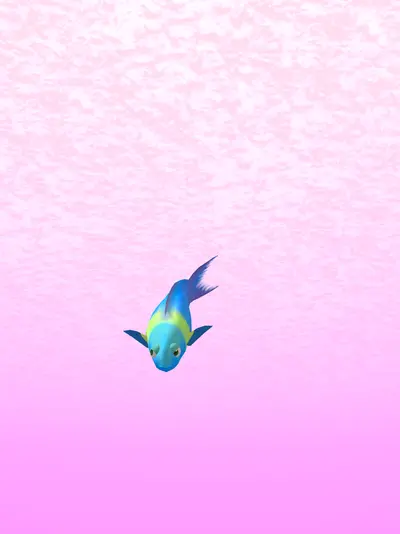 Blunt headed wrasse