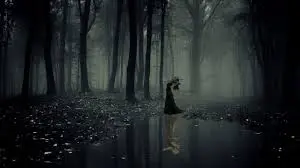 Typical Slasher Film