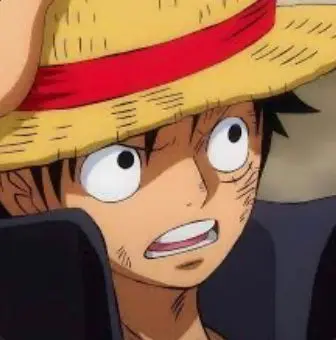 Monkey D Luffy
