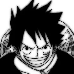 Monkey D. Akio