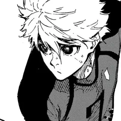 Nagi seishiro 