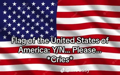American flag (you read that right.)