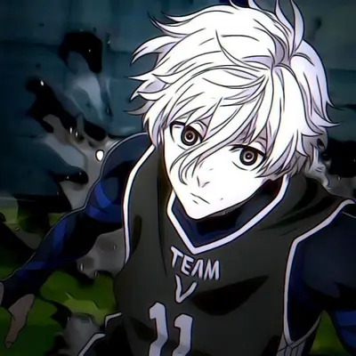 nagi seishiro