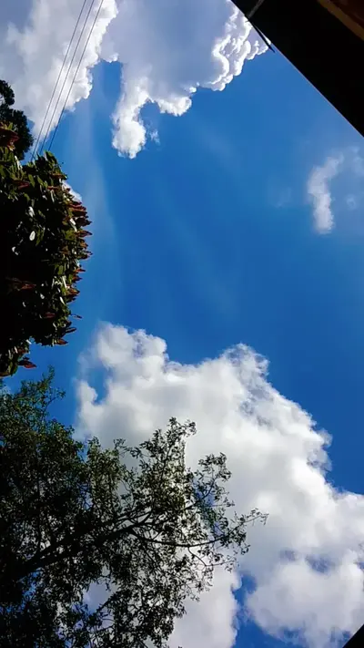 Aksa