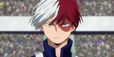 Shoto Todoroki